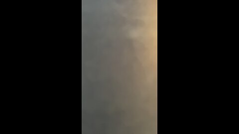 A1