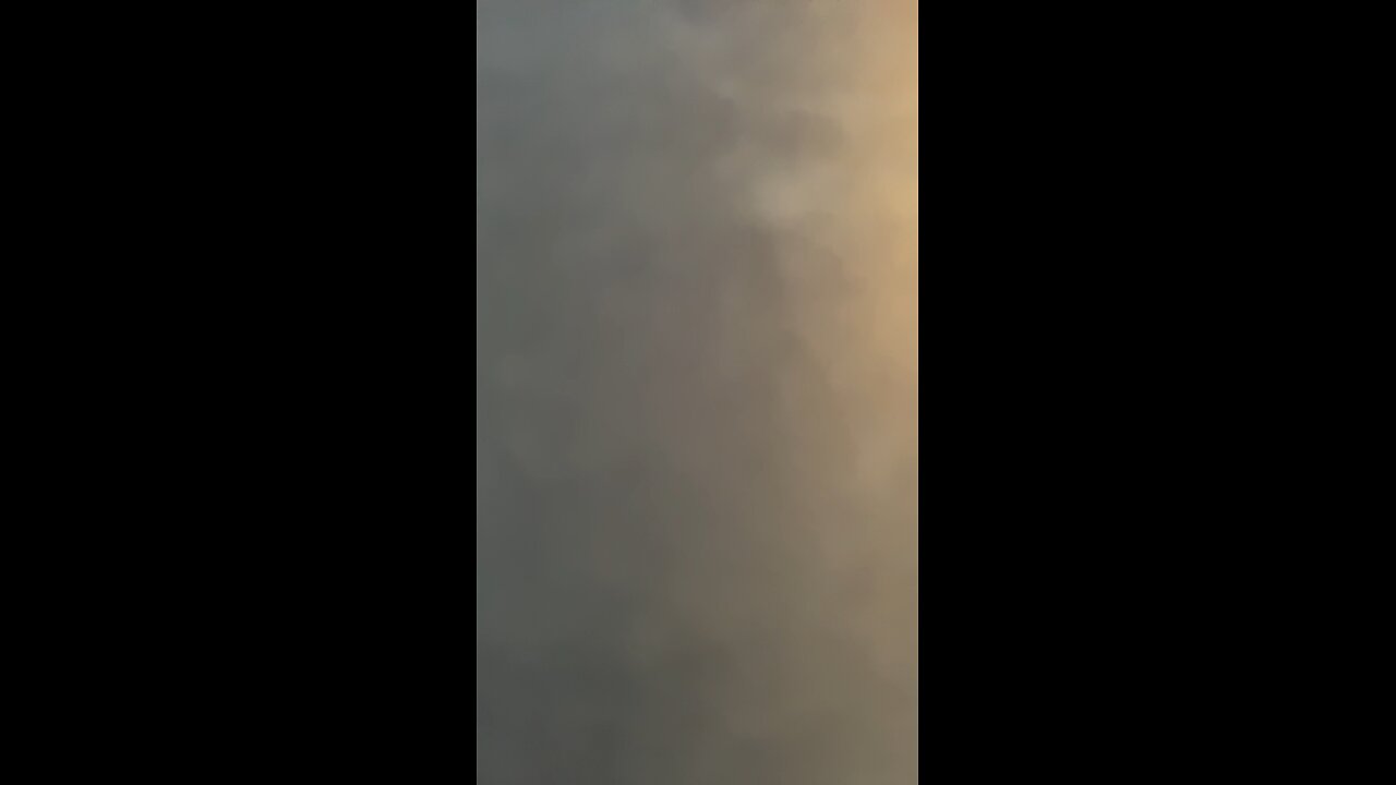 A1