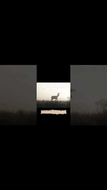 Esse jogo é fortes emoções