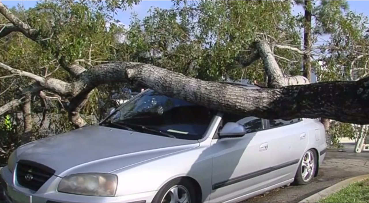 Cleaning up storm damages in Palm Beach County
