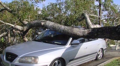 Cleaning up storm damages in Palm Beach County