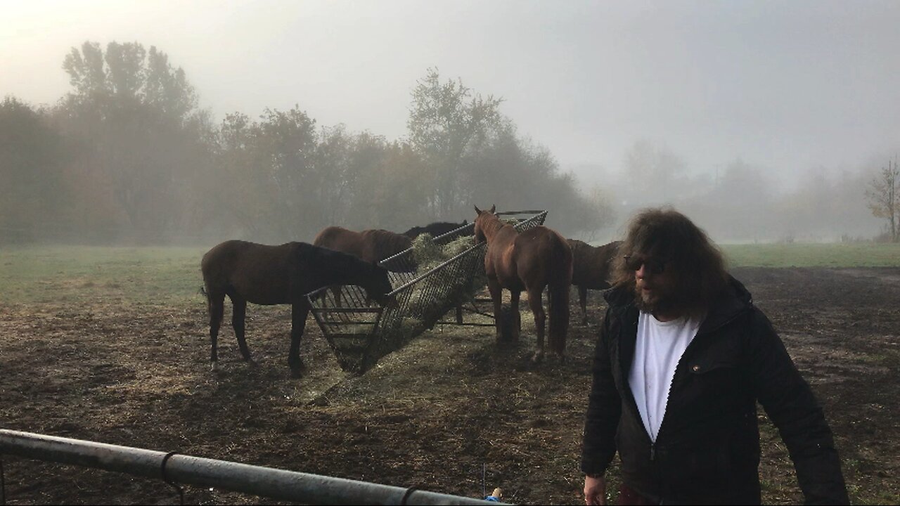 A foggy fall day.