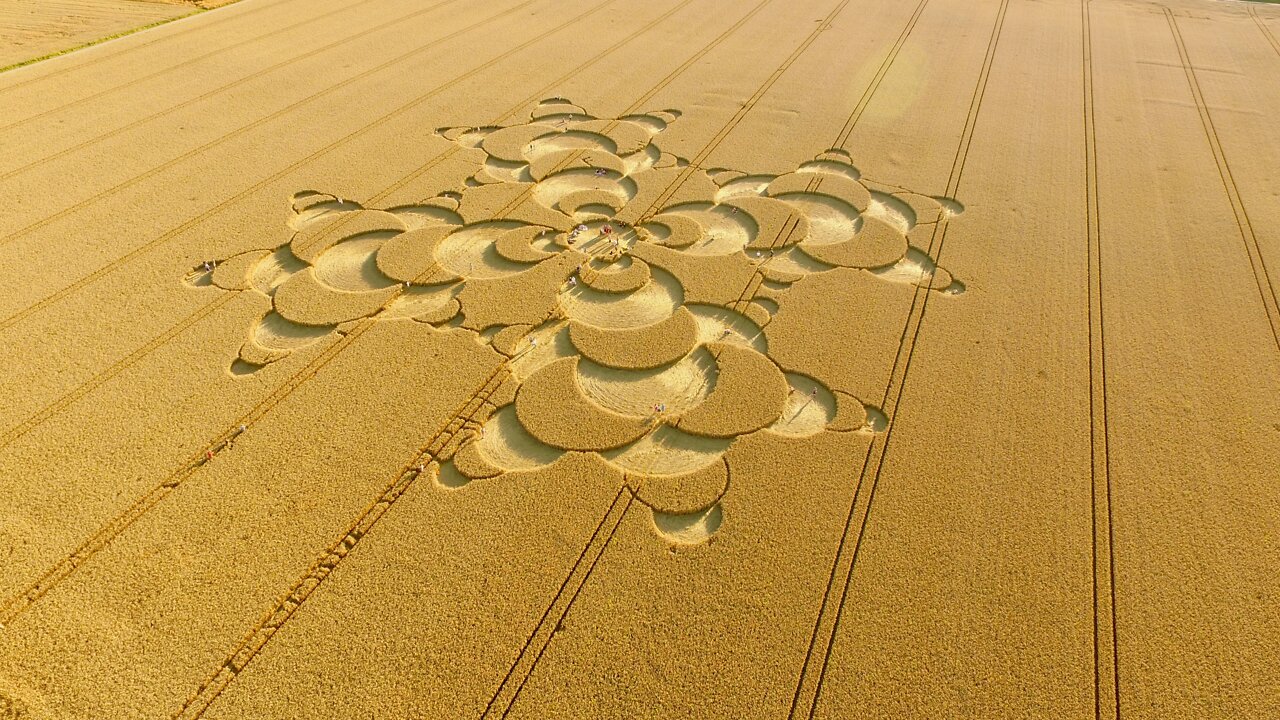 MICHAEL JACO: Crop Circles,Plasma Fields,ET influence,cattle mutilations,plant communication.