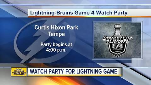 Riverfest and Lightning Watch party weekend