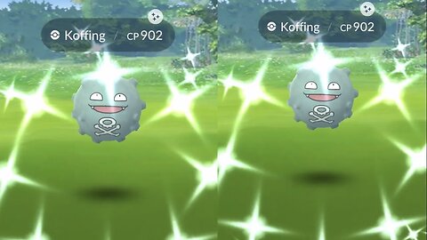 Shiny Koffing Reation
