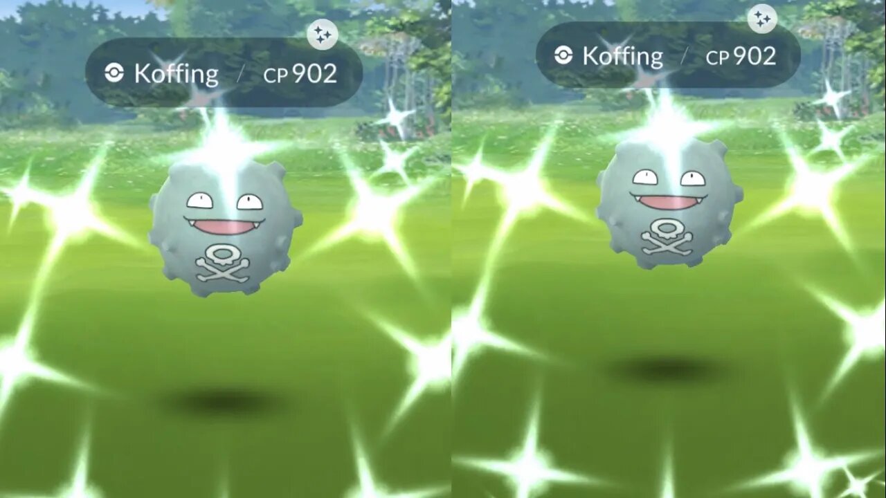 Shiny Koffing Reation