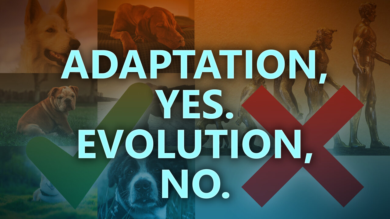 Adaption, yes. Evolution, no.