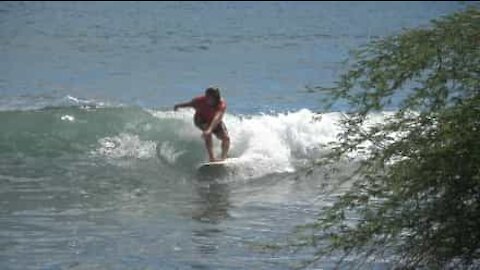 Ce surfeur termine sur une drôle de chute