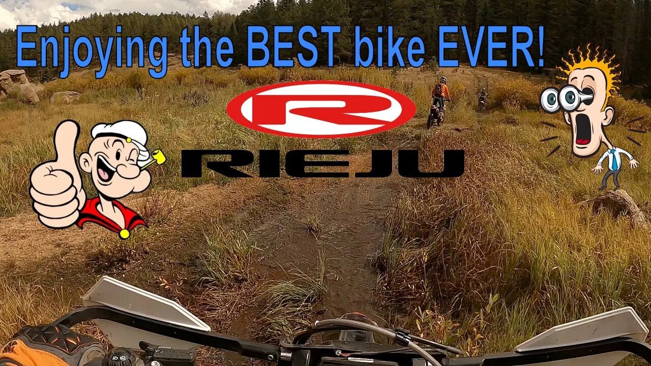 First Ride | 2022 Rieju MR 300 Pro | Awesome first Ride!