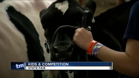 Beauty pageant for cows at the State Fair