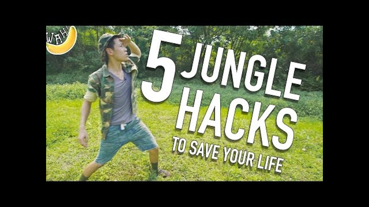 5 Jungle hacks To Save Your Life