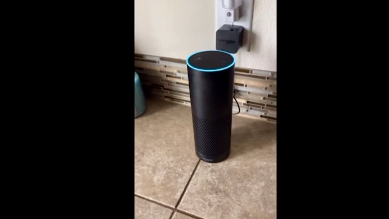 Alexa clips