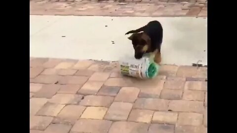 Don't worry human, I got it. #shorts #shortsfeed #clips #shortvideo