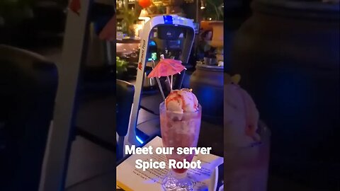 Meet our server Spice Robot!