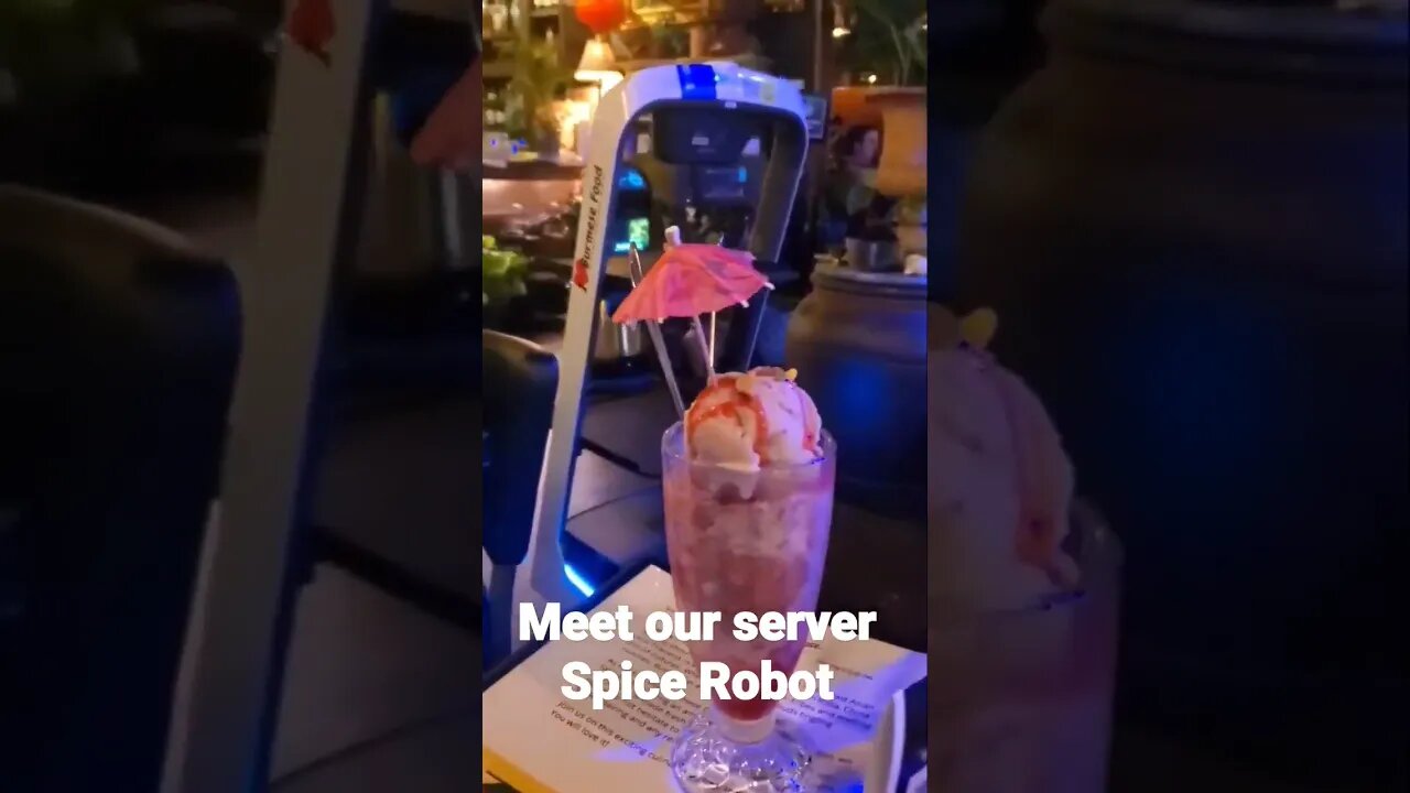 Meet our server Spice Robot!