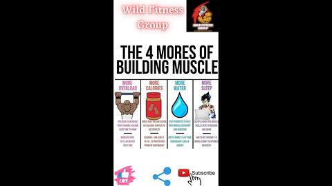 🔥The 4 mores of building muscle🔥#fitness🔥#wildfitnessgroup🔥#shorts🔥