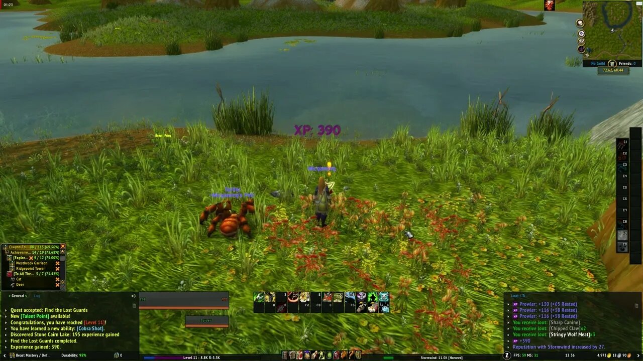 World of Warcraft Find the Lost Guards