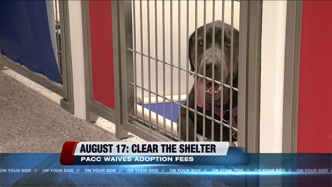 PACC participating in clear the shelters campaign