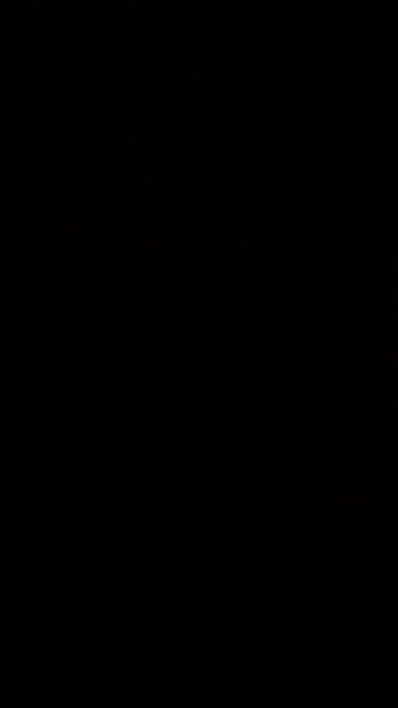 Hunter Biden found guilty