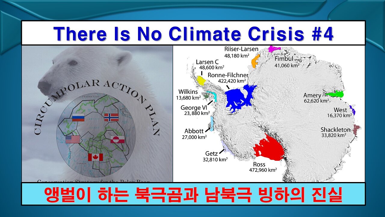 No Climate Crisis #4 Polar Bear (기후 위기는 없다 #4 북극곰)