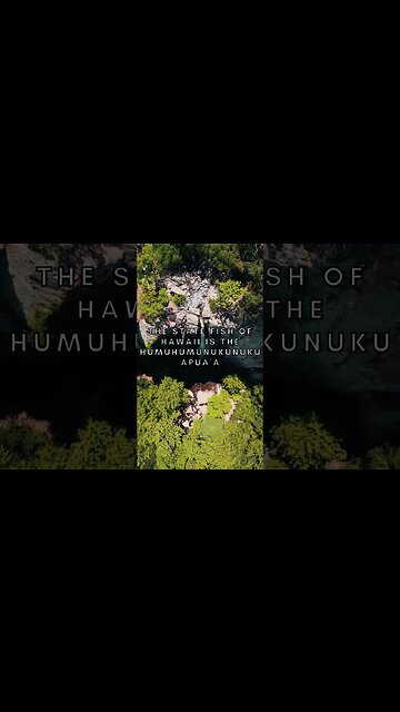 RANDOM FACTS! #shorts #facts #mindblowingfacts #viralshorts #fyp #life