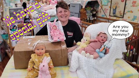 Box Opening! How Many Reborn Babies Did I Get? OMG MadLibs Gone Wild! nlovewithreborns2011..