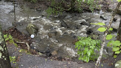 Before church 7/30/23