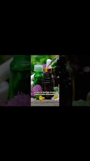 O que são as PLANTAS MEDICINAIS #ervasmedicinais #sobrevivencialismo #plantasmedicinais
