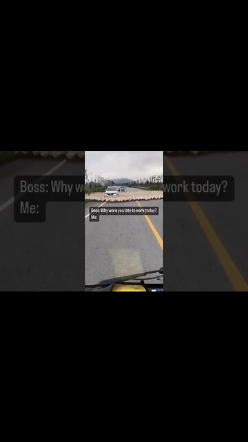 Why are they circling the vehicle? 🤔🤔🤔 #shorts #viral #reels #subscribe #shortvideo #funny