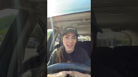 dogs, dogvideos 32