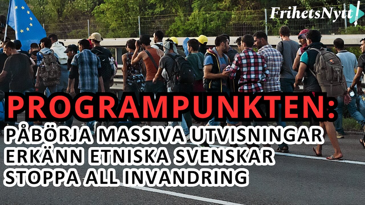 Programpunkten 10: Dessa radikala förslag löser massinvandringens problem