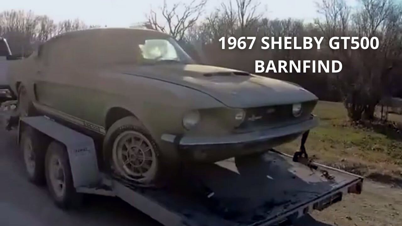 Restoring 1967 Shelby GT500 Barnfind - American Muscle Cars