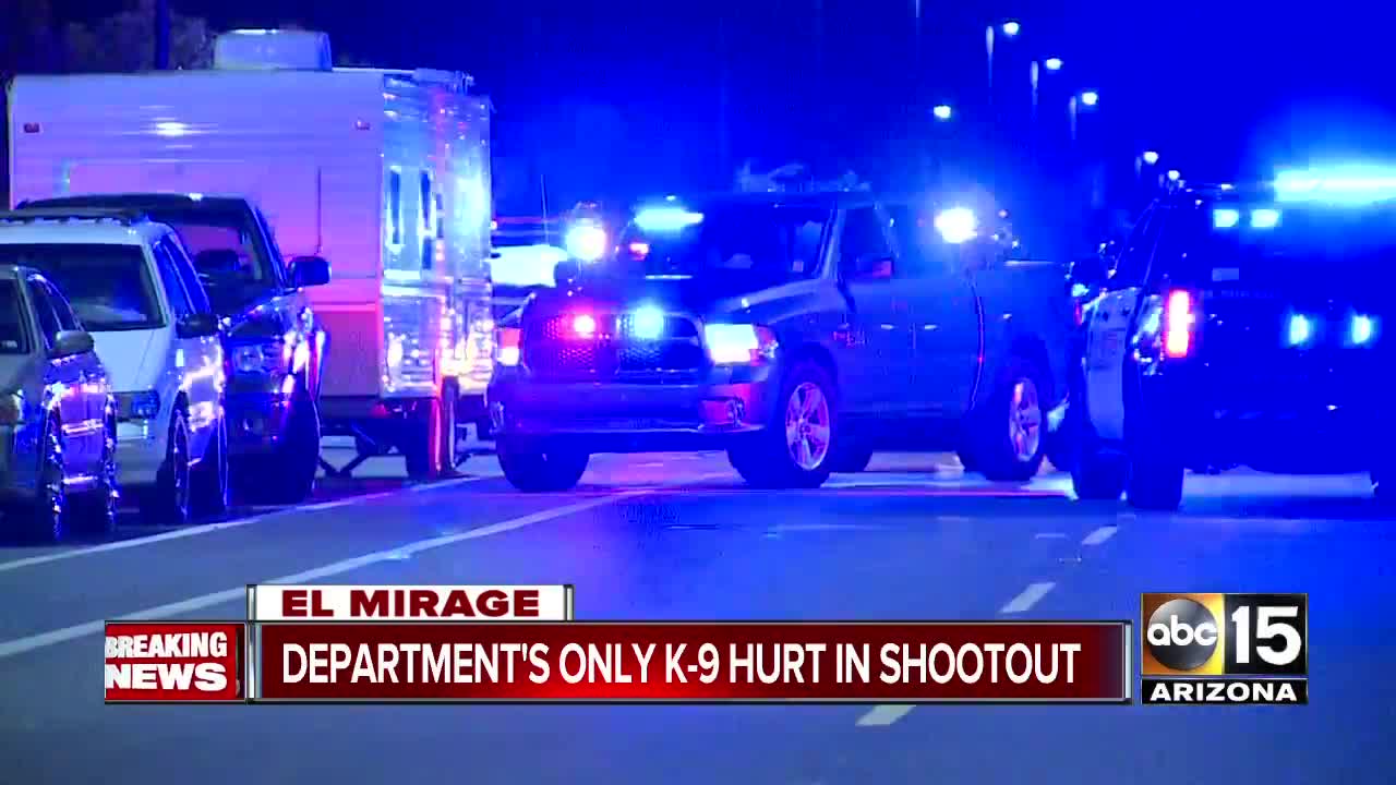 Officer-involved shooting in El Mirage, department's K9 shot