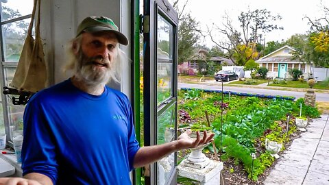 Frost-Proof Produce Farm! Jim Kovaleski’s Gardens Are Still Thriving After The Cold!