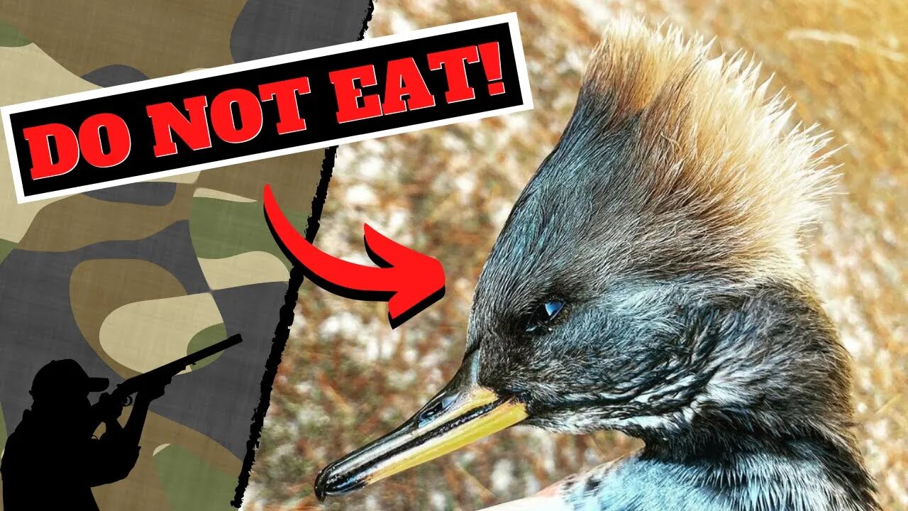 Duck Hunting Woodys & Hoodys {DO NOT EAT THIS DUCK!!!}