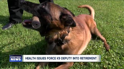 K-9 Hayco retires