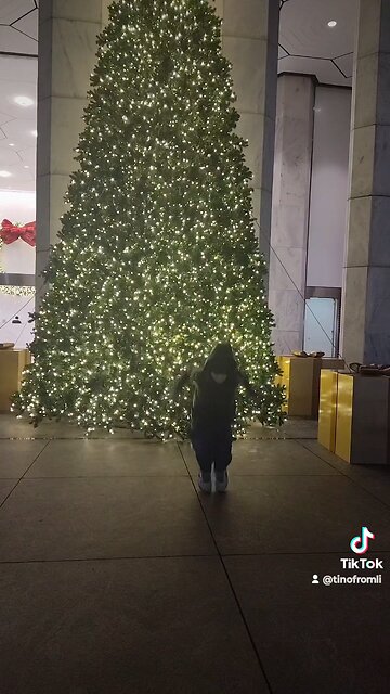 quick sturdy video from when I was in Manhattan