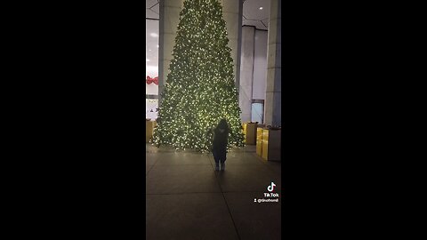 quick sturdy video from when I was in Manhattan