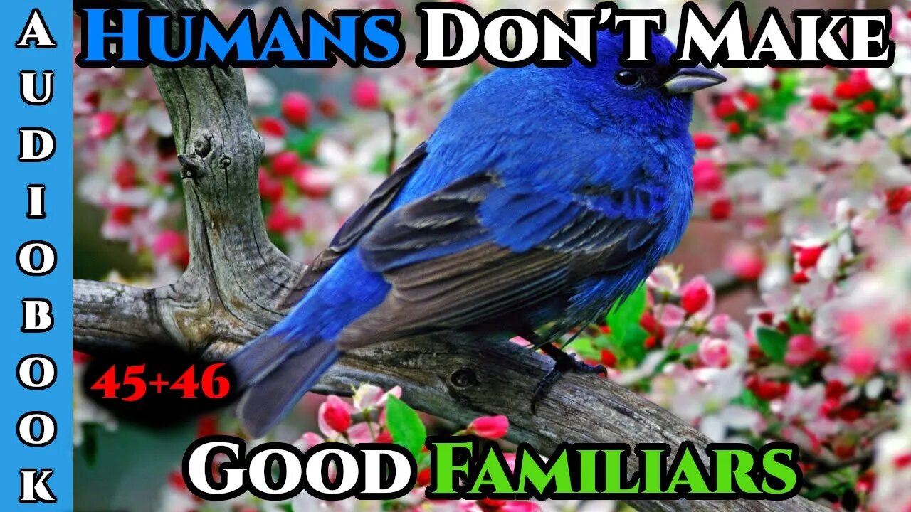 Humans Don't make Good Familiars (Ongoing) - Ch.45+46 | HFY | Fantasy |