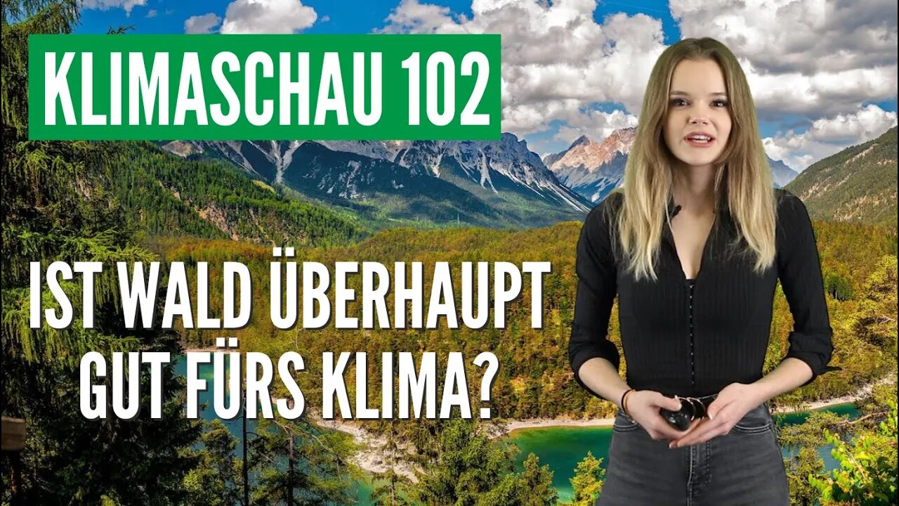 Klimaschau #102: Was macht der Wald mit dem Klima?