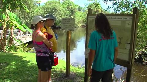 South River Outfitters offers kayaking alternative to St. Lucie River