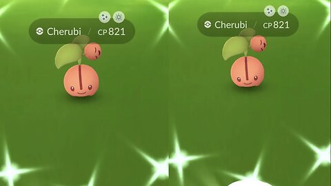 My Reaction to Shiny Cherubi