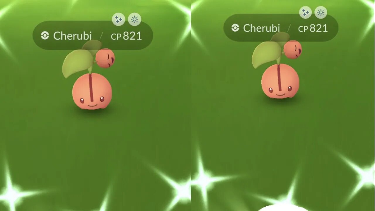 My Reaction to Shiny Cherubi