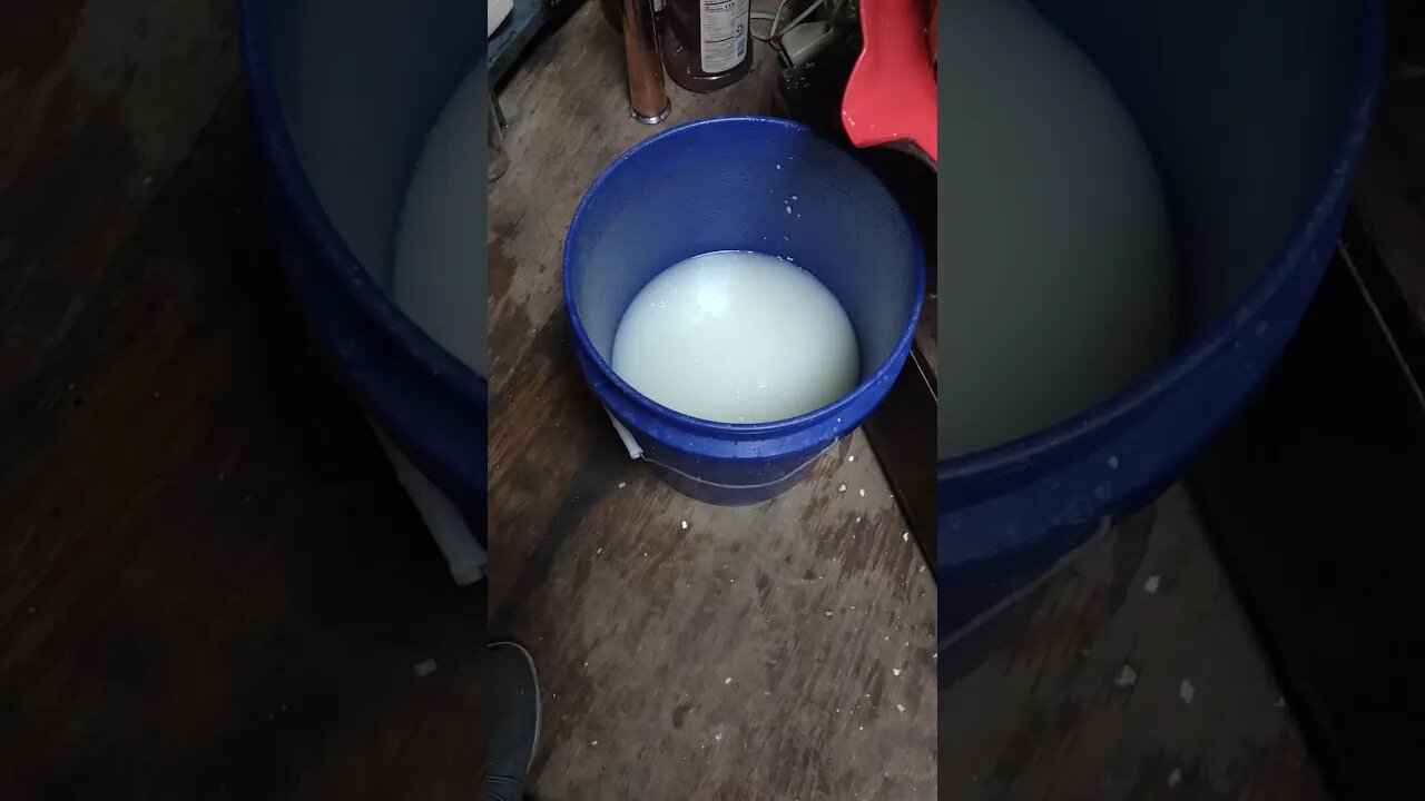 Corn Squeezins part 2
