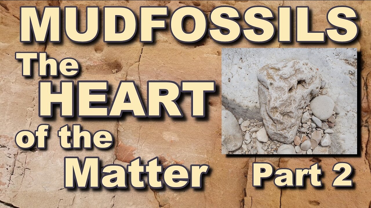 MUDFOSSILS - The HEART of the Matter - Part 2