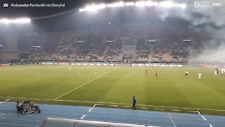 Cane invade il campo di una partita di calcio