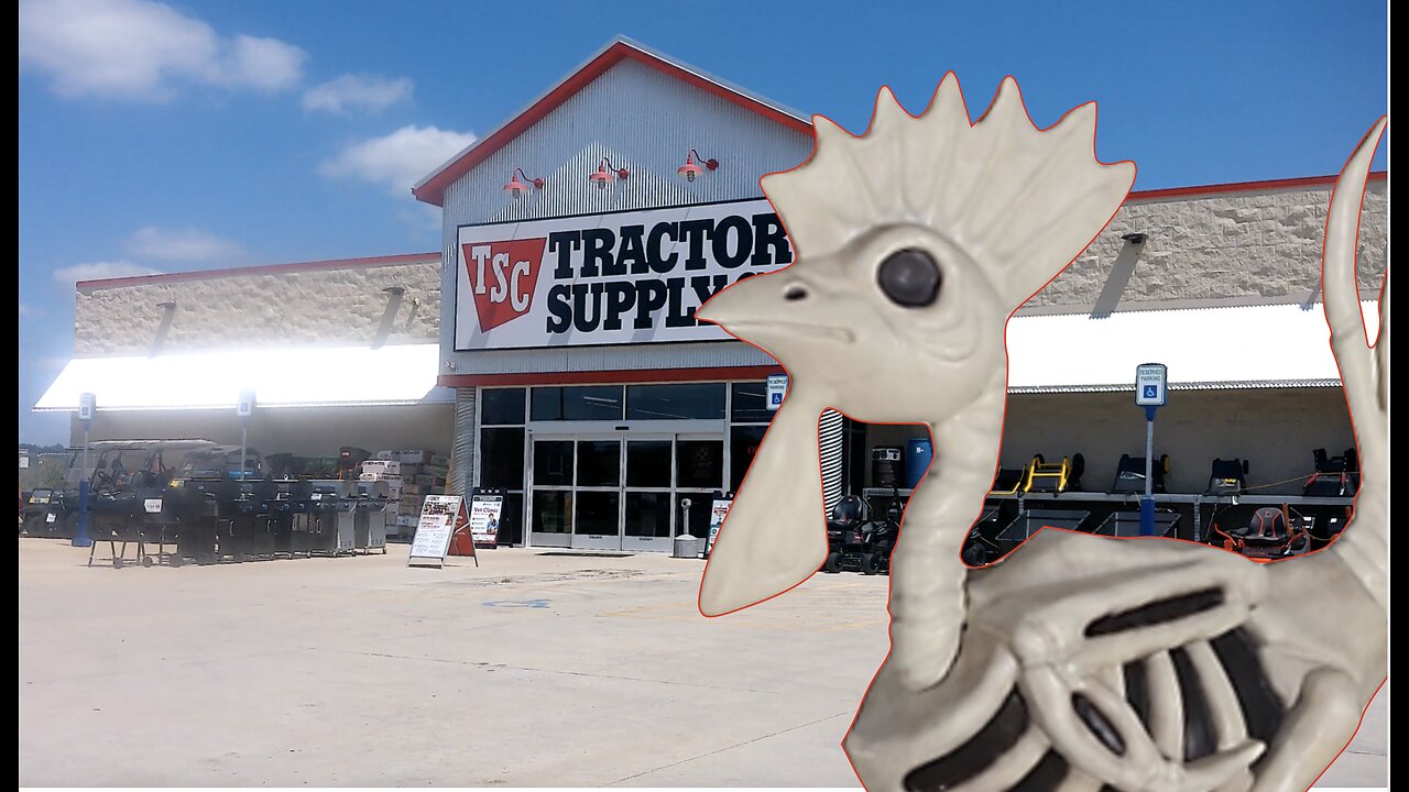 👻2024 Halloween tour at TRACTOR SUPPLY -- props, decor, and more🎃