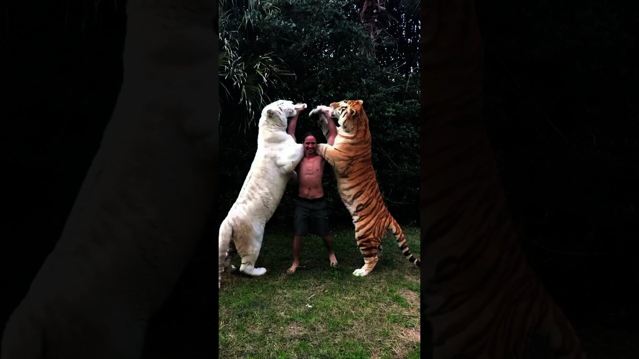 Dando mamadeira para as crianças