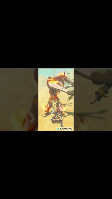 BOTW: Killing Compilation