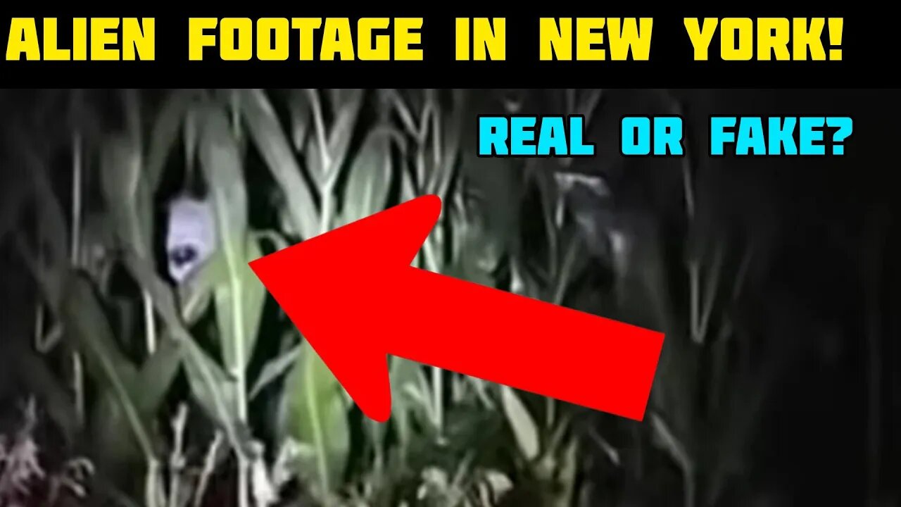 New York Invaded? SHOCKING Alien FOOTAGE You Won't Believe! - Real or Fake?